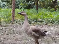 Кубанская — фото 2