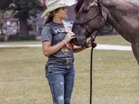 Hengst, Quarter Horse — Foto 5
