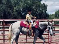 Yegua, Quarter Horse — foto 8