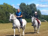 Jument, Chevaux — photo 7