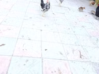 Ancona — foto 3