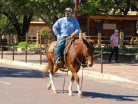 Caballo, Mule — foto 7