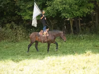 雄馬, Racking Horse — 写真 3