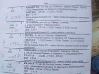 Cheval, Russian Trotter — photo 4