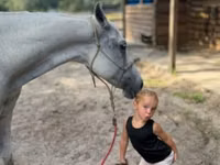 Yegua, Quarter Horse — foto 4