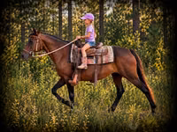 Yegua, Quarter Horse — foto 1