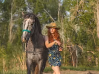 Kuda jantan, Altai horse — foto 3