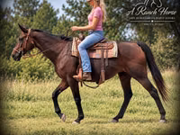 Yegua, Quarter Horse — foto 4