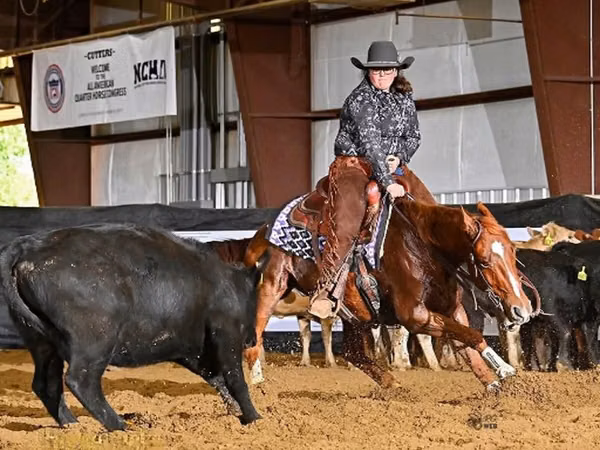 Caballo, Quarter Horse