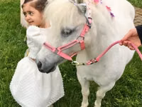 घोड़ी, Miniature horse — फ़ोटो 5