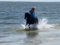 Yegua, Quarter Horse — foto 5