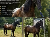 Caballo, French Trotter — foto 1