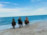Yegua, Quarter Horse — foto 3
