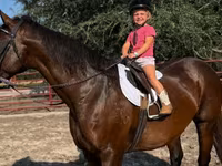 Yegua, Quarter Horse — foto 1