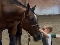 Jument, Quarter Horse — photo 4