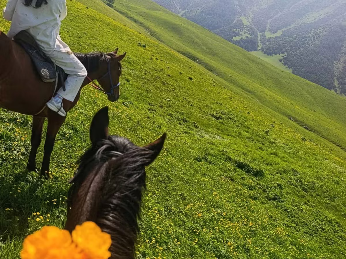 آبرادین-آنگوس