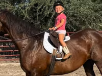 Yegua, Quarter Horse — foto 2