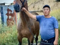 雄馬, French Trotter — 写真 5