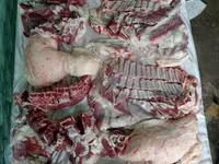 Ram, Rhon sheep — photo 2