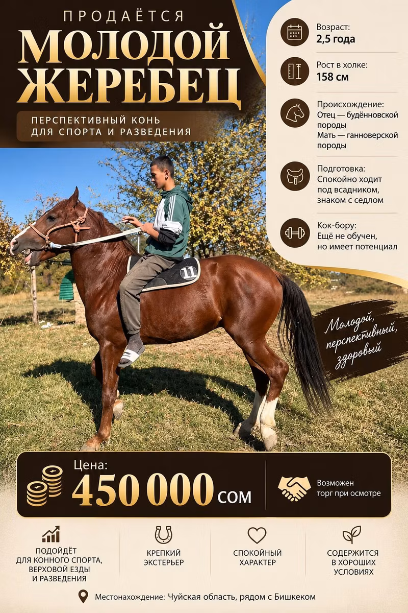 Budyonny horse
